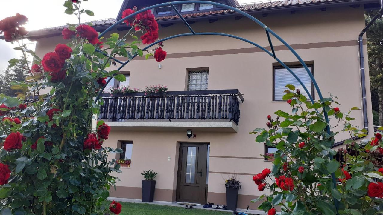 Apartment Panorama Zrece Exterior photo